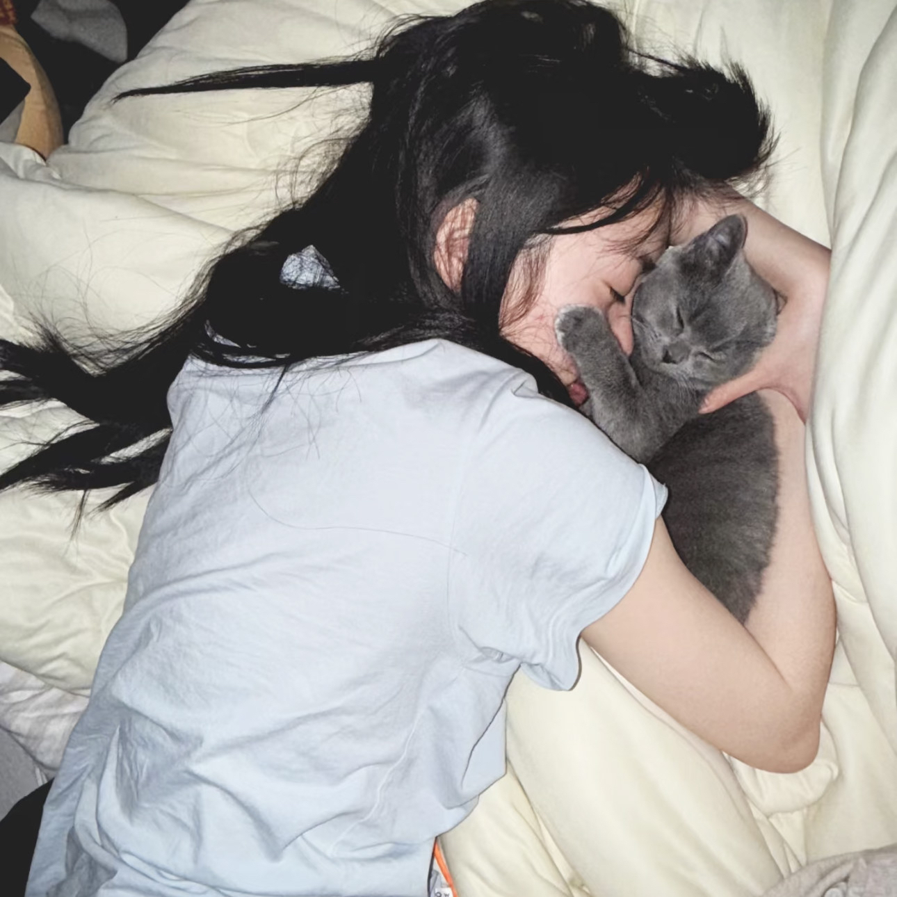 五月天精彩黄网综合影院V.2026.02.25.7106截图1